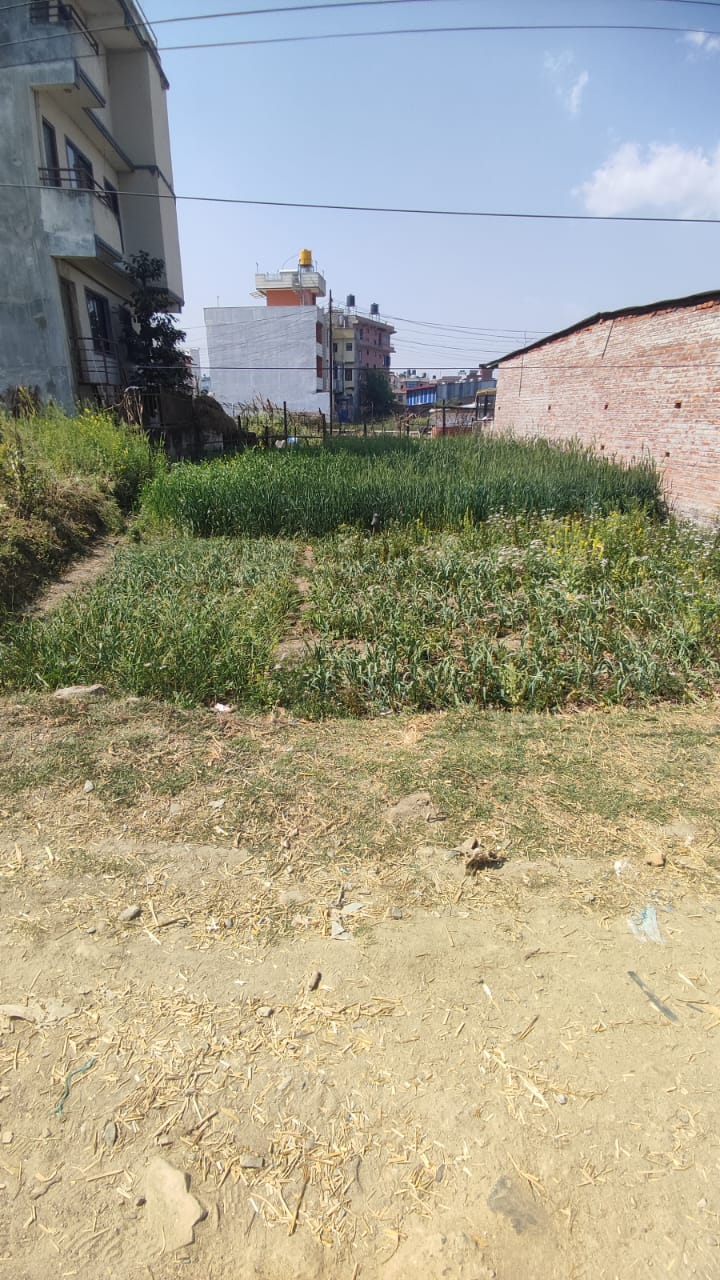 Picture of Mahalaxmi Municipality, Bagmati